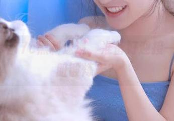 17c黑料速递,准备好迎接一波心脏锻炼未?