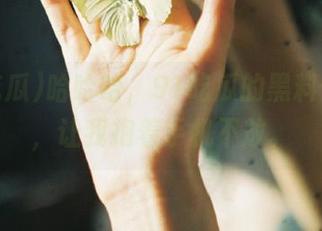 哈哈哈,91吃瓜的黑料传送门,让我抱着手机不放。