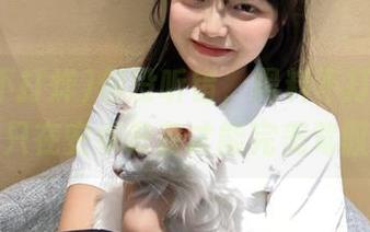 你没听错，黑料不打烊传送门只在安卓设备才能完美驾驭！