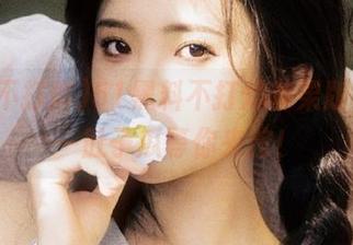 51黑料不打烊苹果版，带着一肚子瓜等你来挖！
